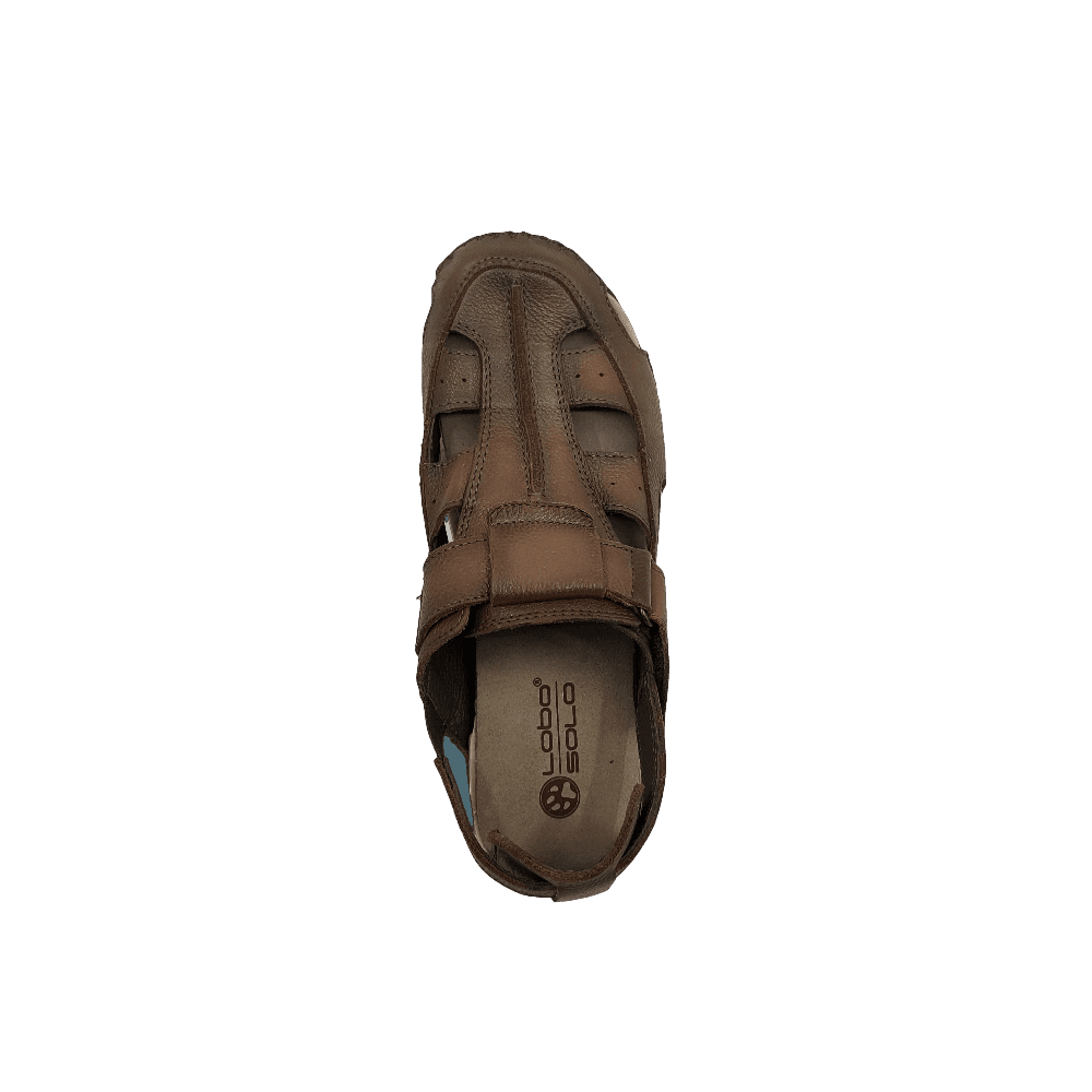 lobo solo 1943-IXTAPA Promoción por tiempo limitado