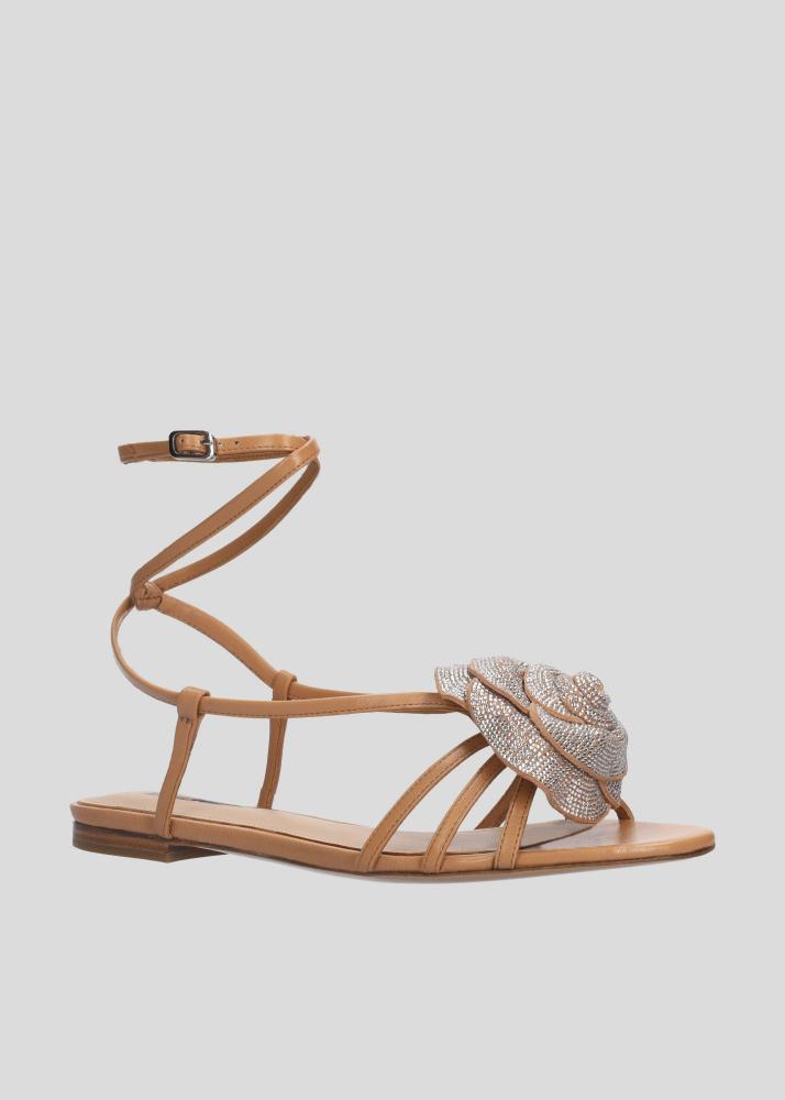 lola cruz ROSE FLAT 2025