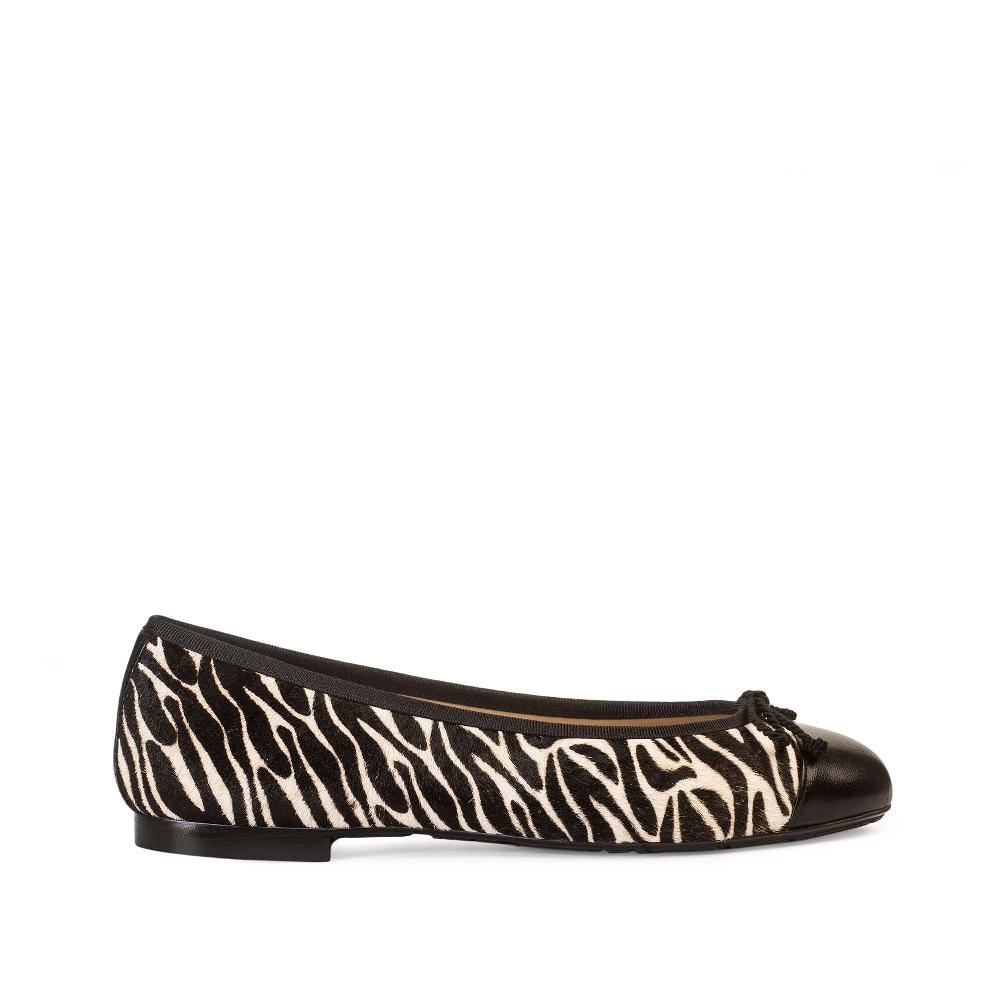 paco gil ROSALÍA ZEBRA