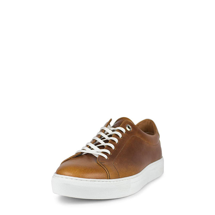 sendra 16526 ANDRES-C EVOLUTION TANG Venta caliente