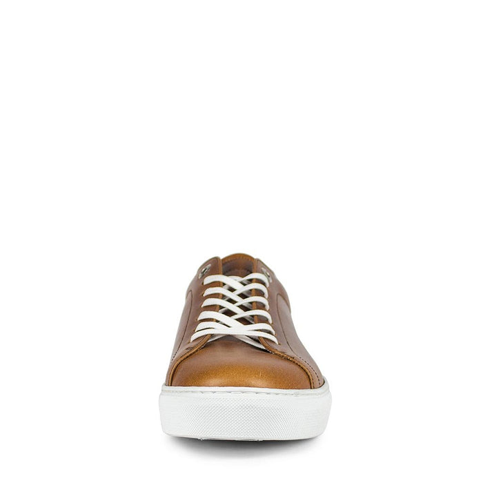 sendra 16526 ANDRES-C EVOLUTION TANG Venta caliente
