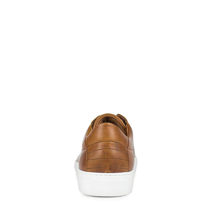 sendra 16526 ANDRES-C EVOLUTION TANG Venta caliente