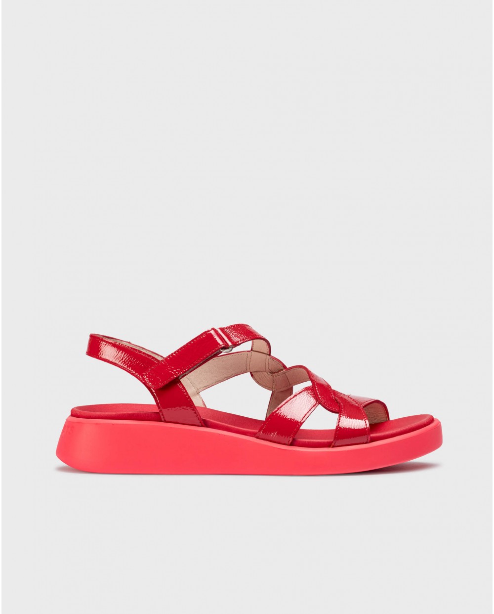 wonders Sandalias CORDELIA Rojas